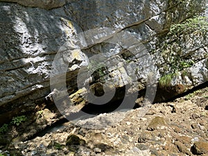 Source of the river GerovÃÂica, Zamost - Region of Gorski kotar, Croatia / Izvor rijeke GerovÃÂice ili vrelo rjeÃÂice GerovÃÂice photo